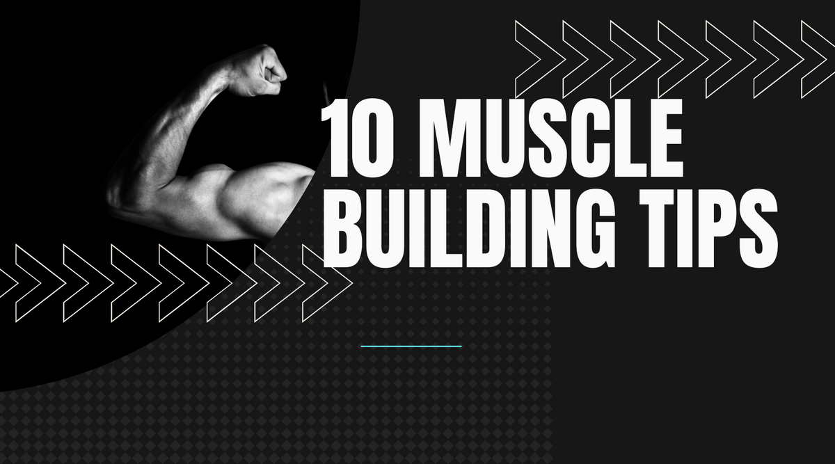 terminator training method blog cover