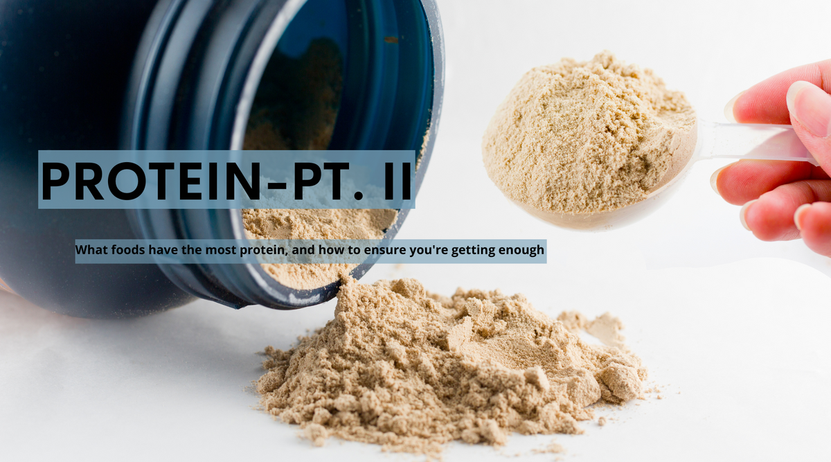 Protein: Part II