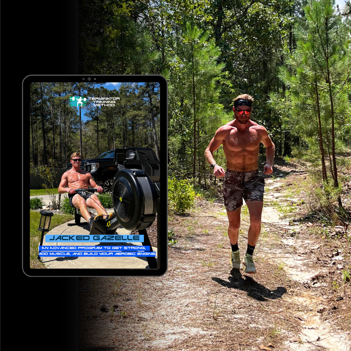 Hybrid Training